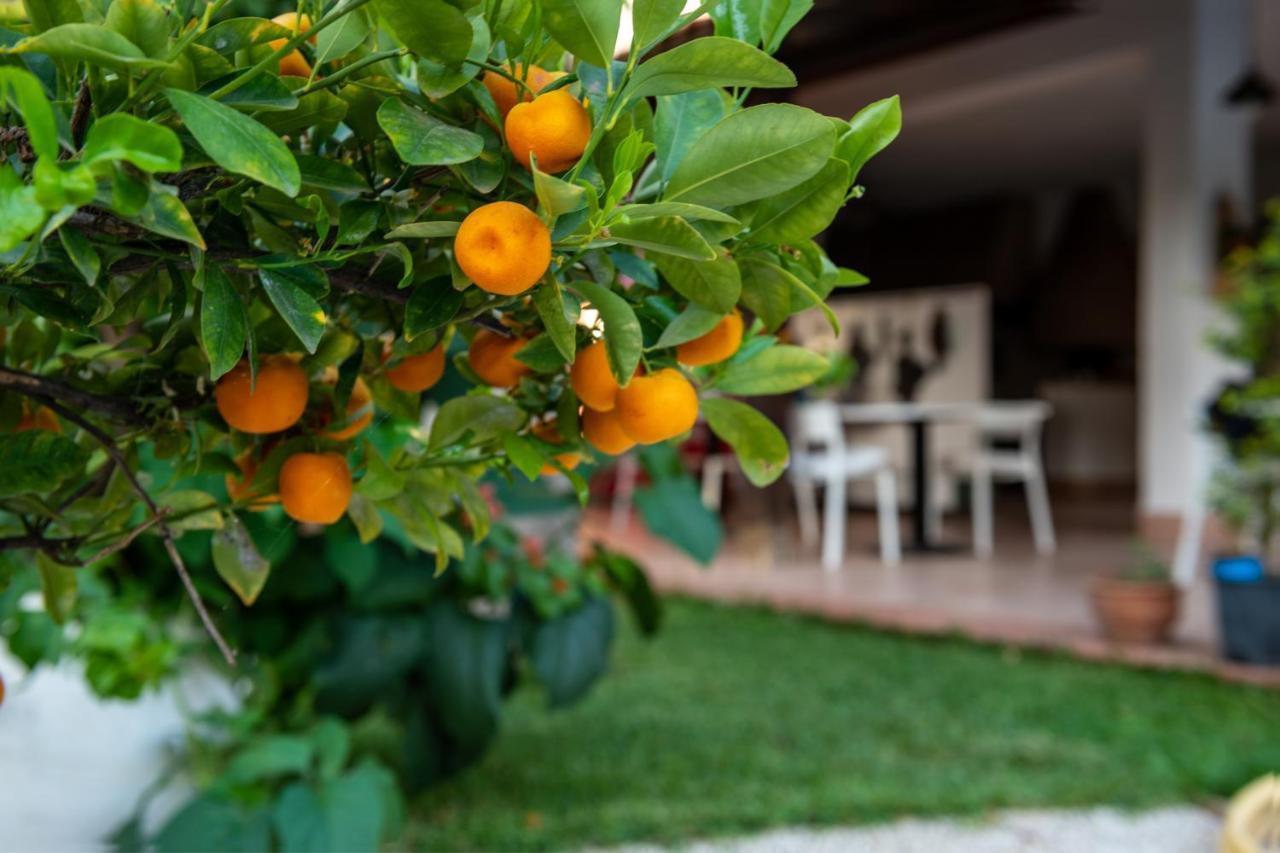 Villa Megna - Green Paradise B&B Παλέρμο Εξωτερικό φωτογραφία