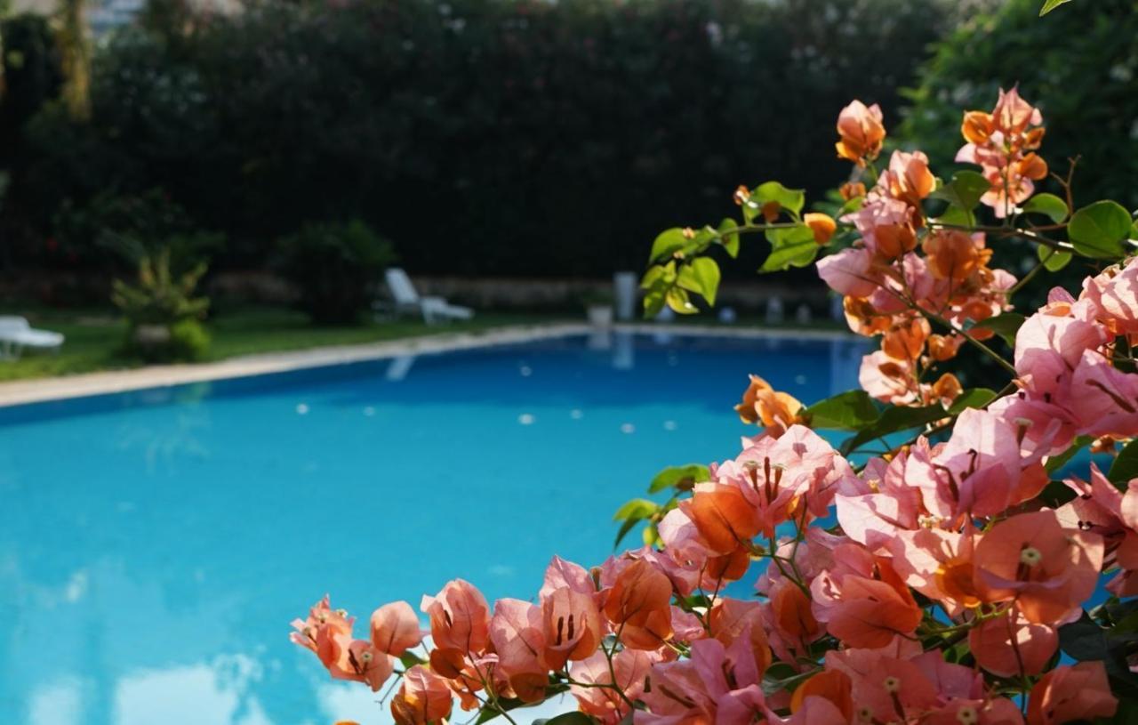 Villa Megna - Green Paradise B&B Παλέρμο Εξωτερικό φωτογραφία